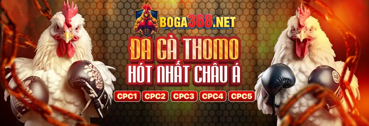 Tổng quan các môn thể thao tại U888